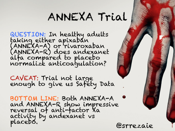 andexinet