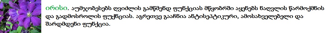 irisi1